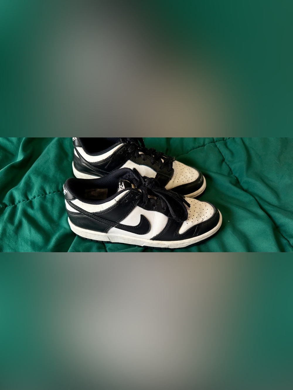 Nike Dunks Black & White Low-Top Swoosh Sneakers